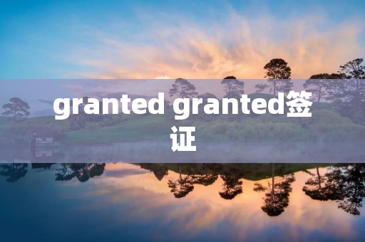 granted granted签证