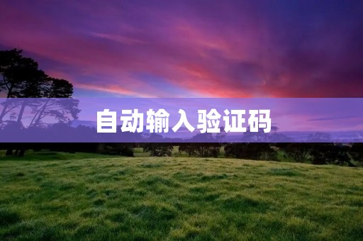 自动输入验证码：解放用户，提升使用体验