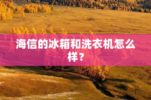 海信的冰箱和洗衣机怎么样? 海信的冰箱和洗衣机怎么样?