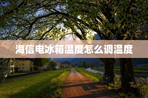 海信电冰箱温度怎么调温度 海信电冰箱温度怎么调温度