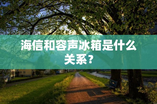 海信和容声冰箱是什么关系? 海信和容声冰箱是什么关系?