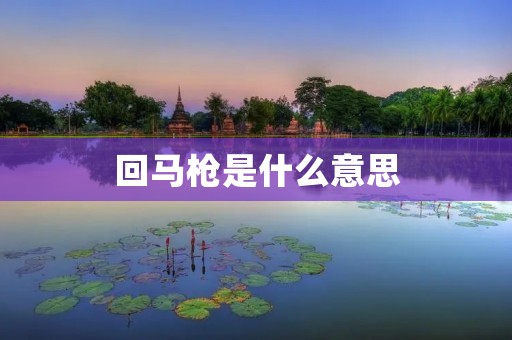 回马枪是什么意思
