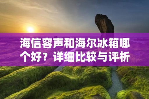 海信容声和海尔冰箱哪个好?详细比较与评析 海信容声和海尔冰箱哪个好?详细比较与评析