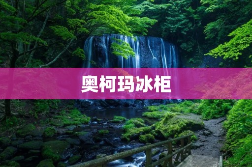 奥柯玛冰柜：为您的冷藏需求提供高效解决方案