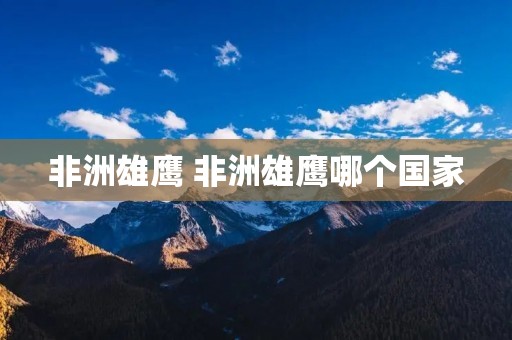 非洲雄鹰 非洲雄鹰哪个国家 非洲雄鹰 非洲雄鹰哪个国家