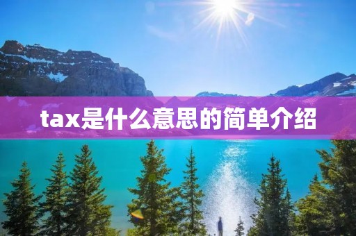 tax是什么意思的简单介绍