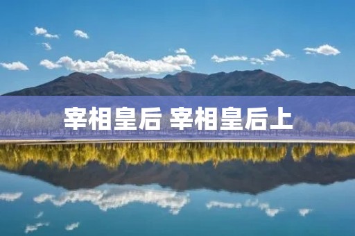宰相皇后 宰相皇后上