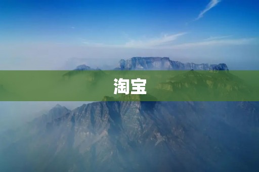 淘宝:互联网购物平台的先驱 淘宝:互联网购物平台的先驱