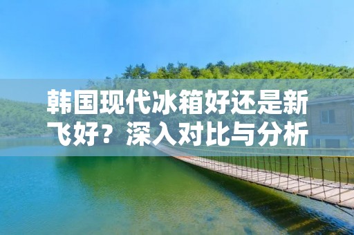 韩国现代冰箱好还是新飞好?深入对比与分析 韩国现代冰箱好还是新飞好?深入对比与分析