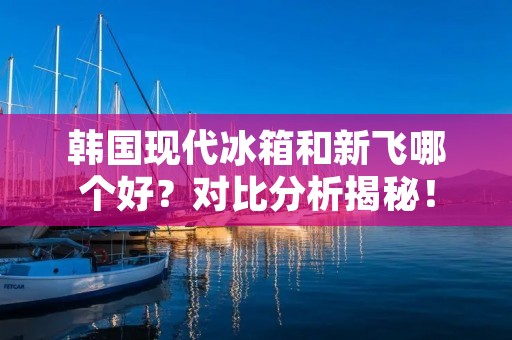 韩国现代冰箱和新飞哪个好？对比分析揭秘！