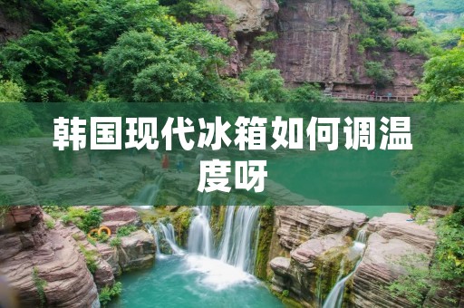 韩国现代冰箱如何调温度呀 韩国现代冰箱如何调温度呀
