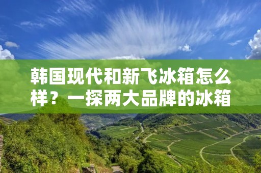 韩国现代和新飞冰箱怎么样？一探两大品牌的冰箱魅力