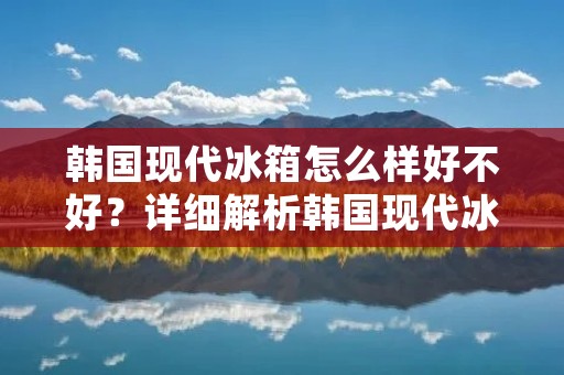 韩国现代冰箱怎么样好不好？详细解析韩国现代冰箱的优势与特点