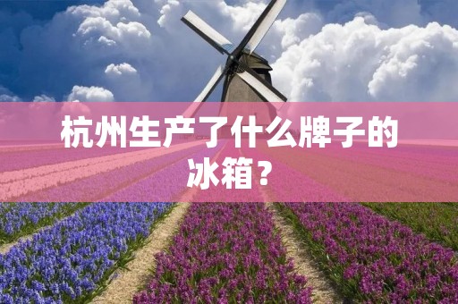 杭州生产了什么牌子的冰箱? 杭州生产了什么牌子的冰箱?