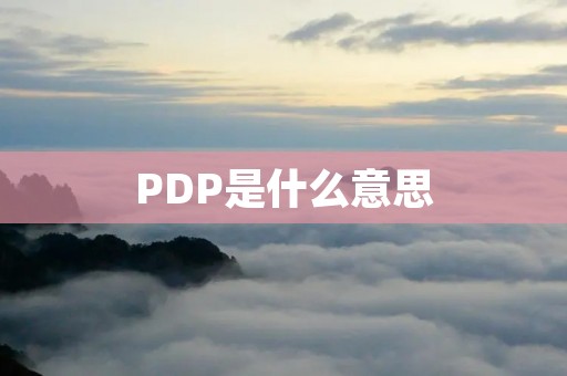 PDP是什么意思