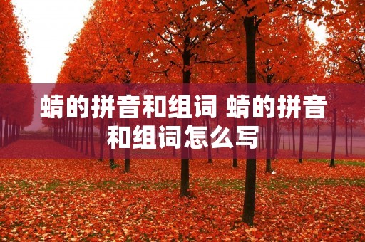 蜻的拼音和组词 蜻的拼音和组词怎么写
