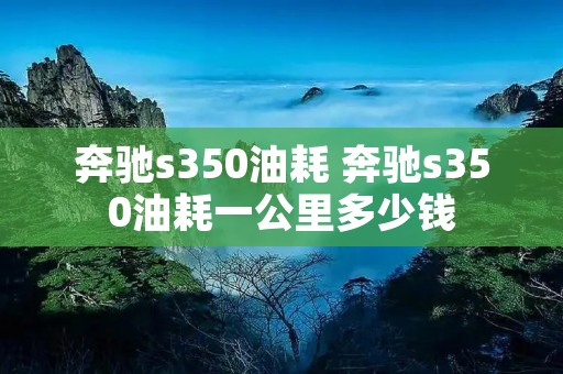 奔驰s350油耗 奔驰s350油耗一公里多少钱