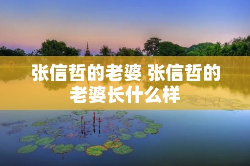 张信哲的老婆 张信哲的老婆长什么样