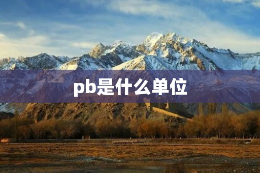 pb是什么单位
