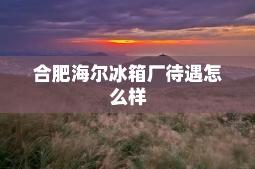 合肥海尔冰箱厂待遇怎么样