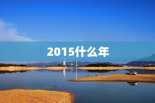 2015什么年：回顾与展望