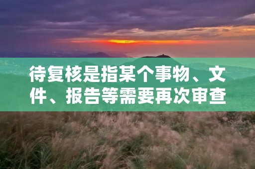 待复核是指某个事物、文件、报告等需要再次审查、核对或确认的过程。待复核通常是在初次审核或核实后，发现了一些问题、疑点或错误，需要再次进行复查、核对和确认，以确保准确性和完整性。