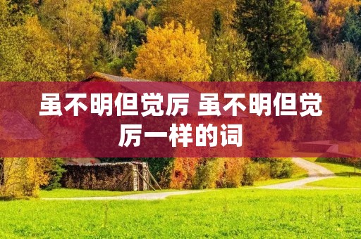 虽不明但觉厉 虽不明但觉厉一样的词