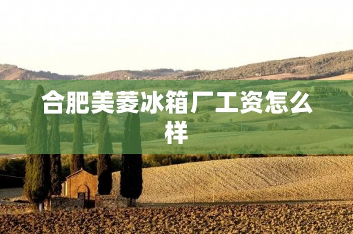 合肥美菱冰箱厂工资怎么样