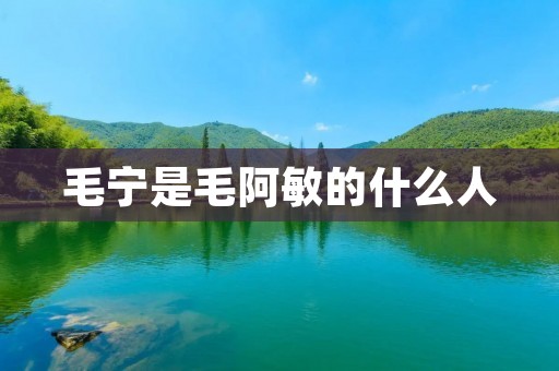 毛宁是毛阿敏的什么人