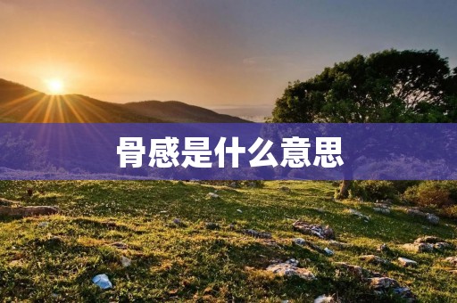 骨感是什么意思