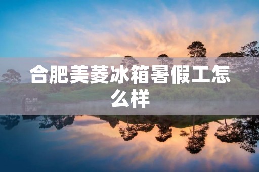 合肥美菱冰箱暑假工怎么样:一窥职场实习的机会与挑战 合肥美菱冰箱暑假工怎么样:一窥职场实习的机会与挑战