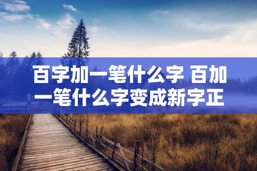 百字加一笔什么字 百加一笔什么字变成新字正确答案