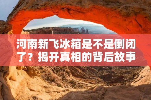 河南新飞冰箱是不是倒闭了?揭开真相的背后故事