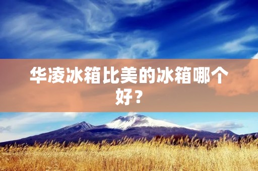 华凌冰箱比美的冰箱哪个好？