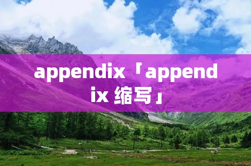 appendix「appendix 缩写」