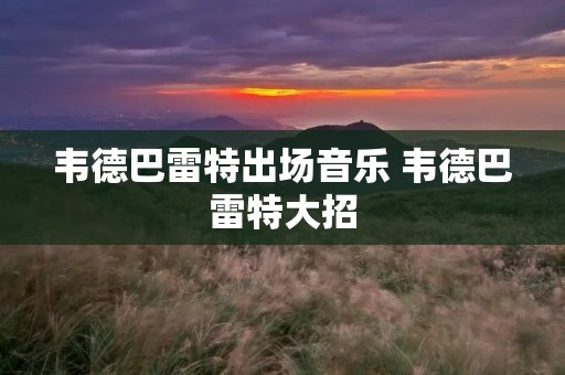 韦德巴雷特出场音乐 韦德巴雷特大招