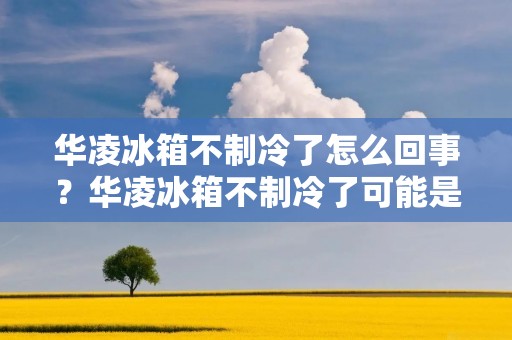 华凌冰箱不制冷了怎么回事?华凌冰箱不制冷了可能是由于多种原因引起的。在本文中,我们将详细描述可能的原因,并提供相应的解决方案。