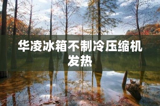 华凌冰箱不制冷压缩机发热:原因与解决方法 华凌冰箱不制冷压缩机发热:原因与解决方法