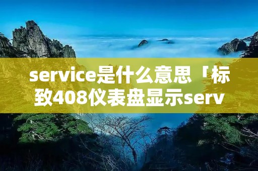 service是什么意思「标致408仪表盘显示service是什么意思」