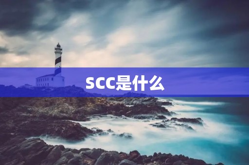 SCC是什么 SCC是什么