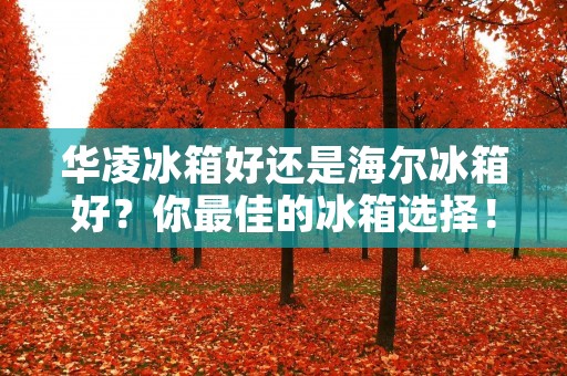 华凌冰箱好还是海尔冰箱好？你最佳的冰箱选择！