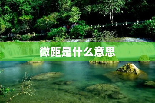 微距是什么意思