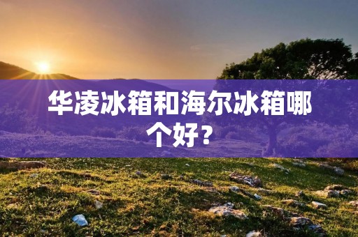 华凌冰箱和海尔冰箱哪个好？
