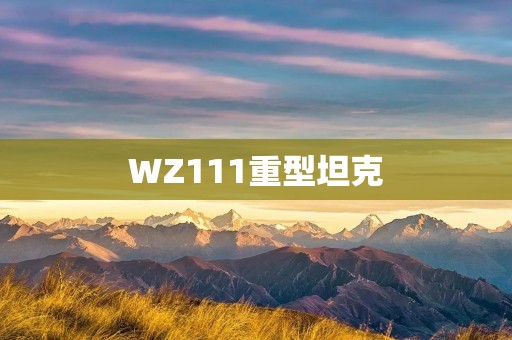WZ111重型坦克：钢铁战士的崛起