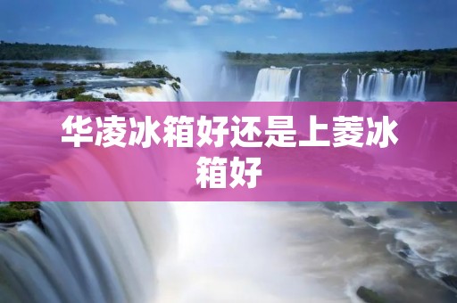 华凌冰箱好还是上菱冰箱好:详细对比与评析 华凌冰箱好还是上菱冰箱好:详细对比与评析