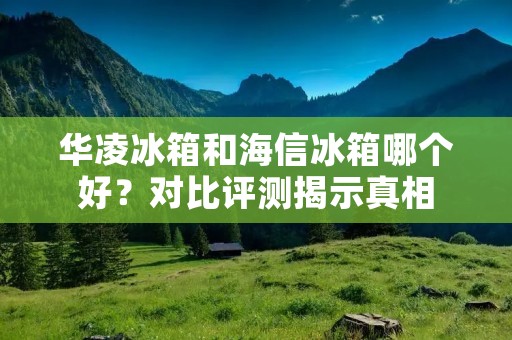 华凌冰箱和海信冰箱哪个好?对比评测揭示真相 华凌冰箱和海信冰箱哪个好?对比评测揭示真相
