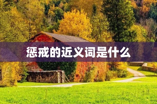 惩戒的近义词是什么