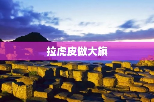 拉虎皮做大旗：传统工艺与现代创新的完美结合