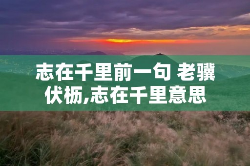 志在千里前一句 老骥伏枥,志在千里意思