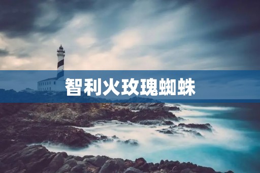 智利火玫瑰蜘蛛:世界上最壮观的蜘蛛之一 智利火玫瑰蜘蛛:世界上最壮观的蜘蛛之一